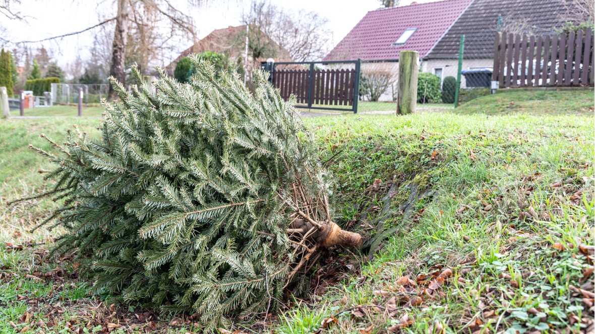 (Was het wel) Merry Christmas?!