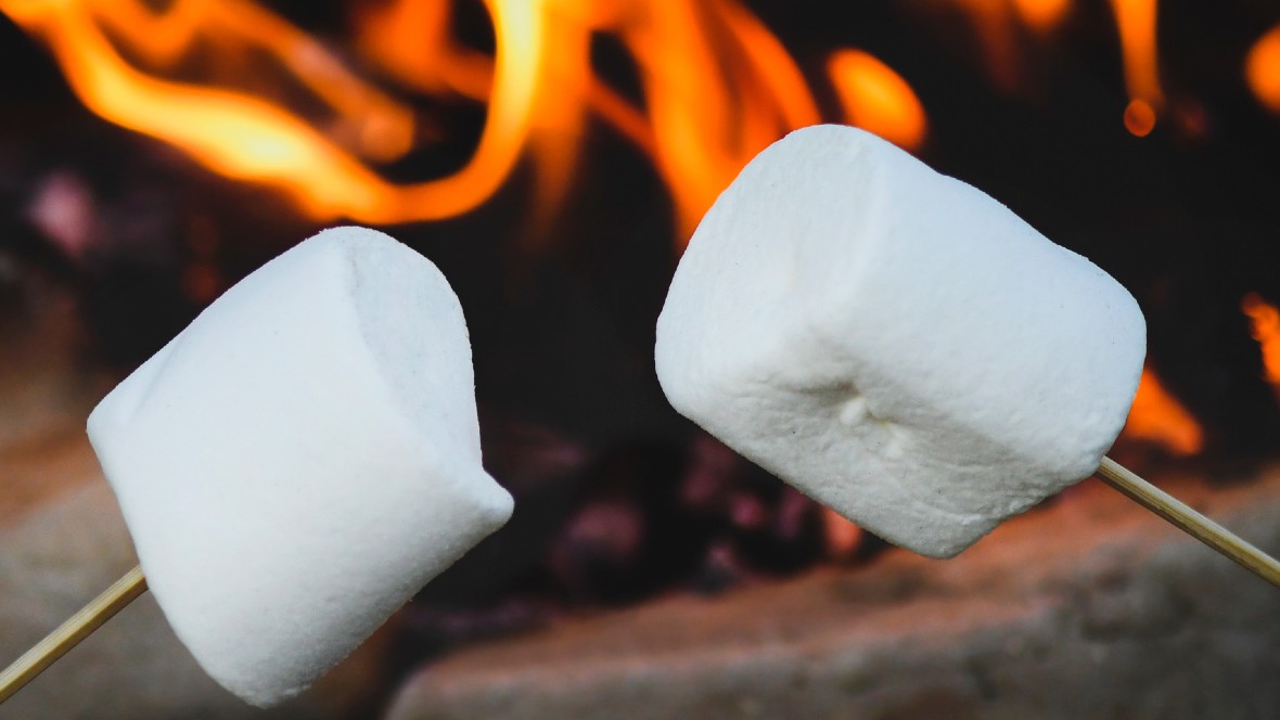 De marshmallowtest voor bedrijven