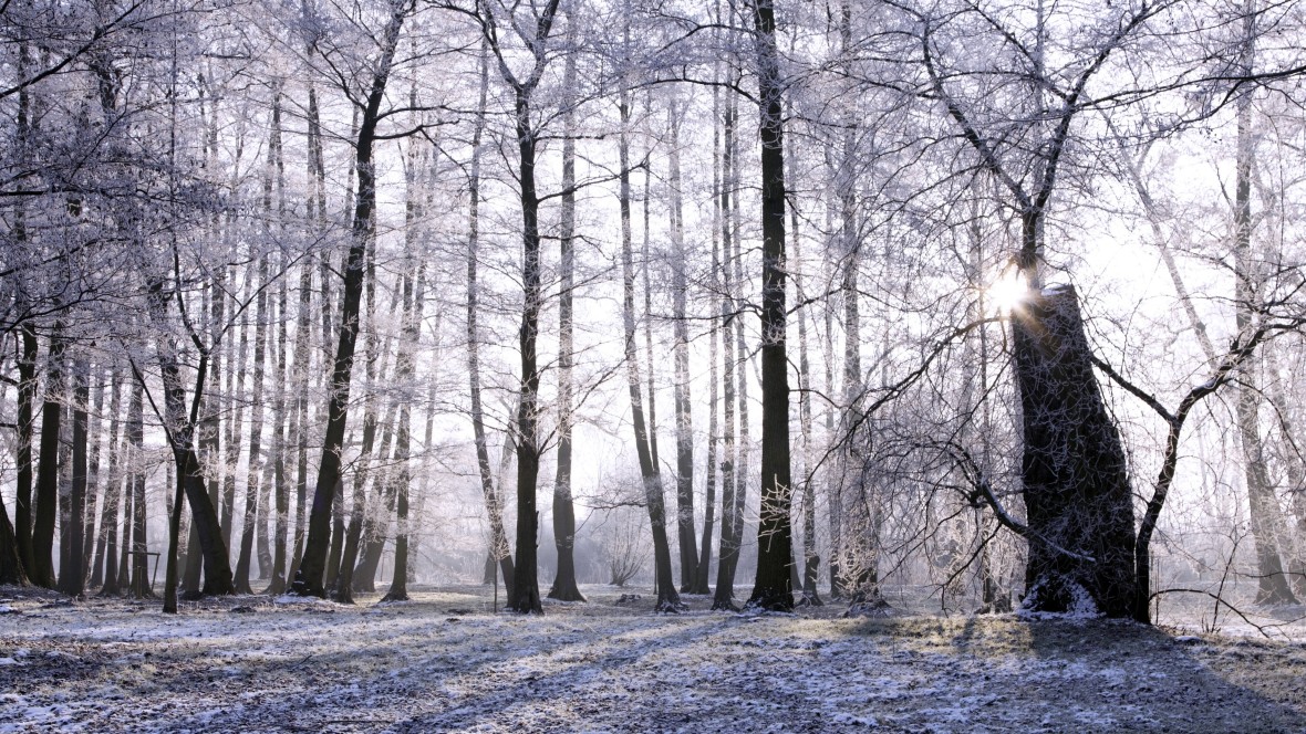 Strategie begint met stilte