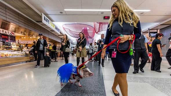 Klanttevredenheid Amerikaanse luchthavens hoger dan ooit
