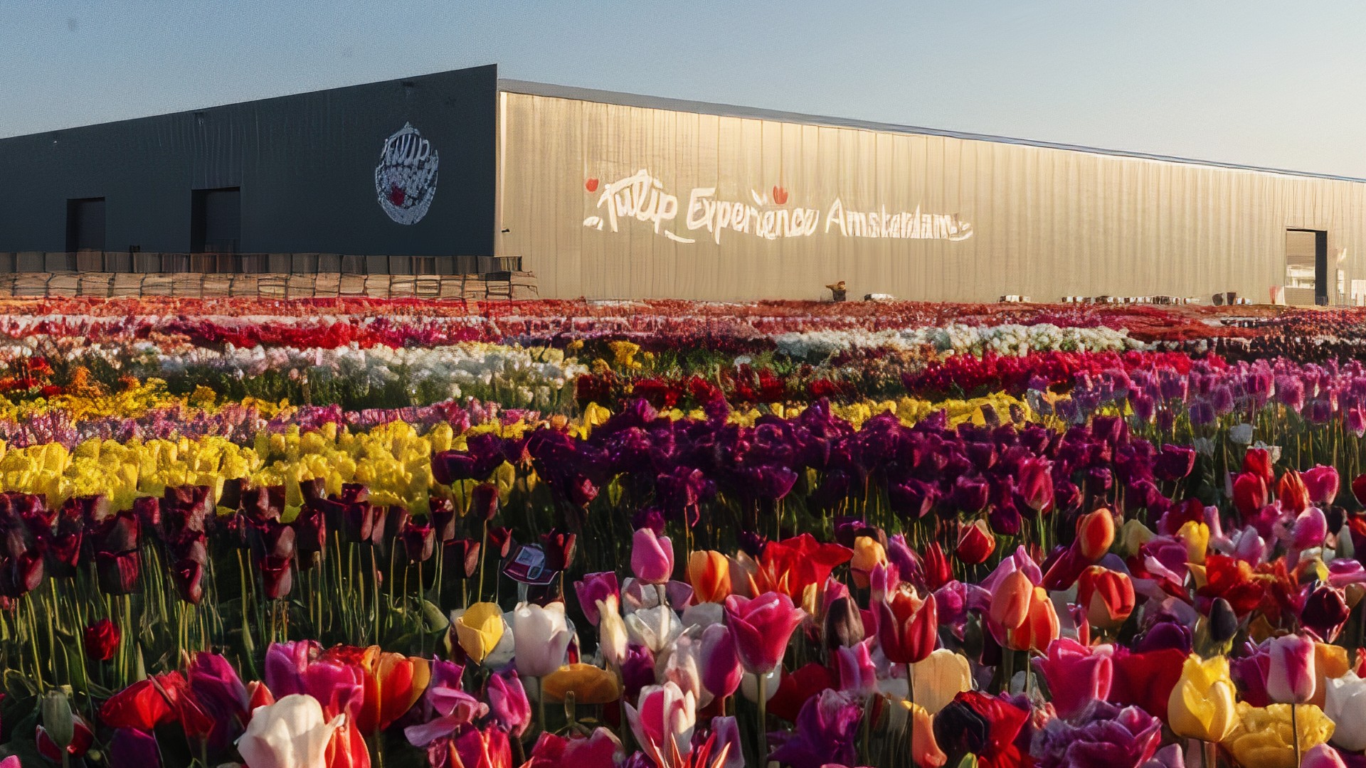 Tulip Experience Amsterdam is 'Best Hidden Gem'